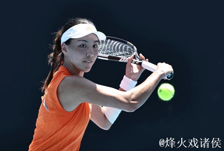 王欣瑜直落两盘6-3战胜卡利尼娜 顺利挺进澳网女单次轮